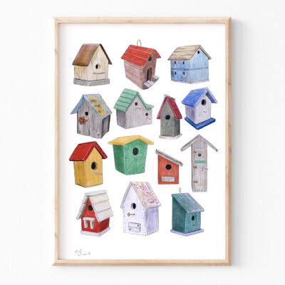 Birdhouses - A3 illustration print