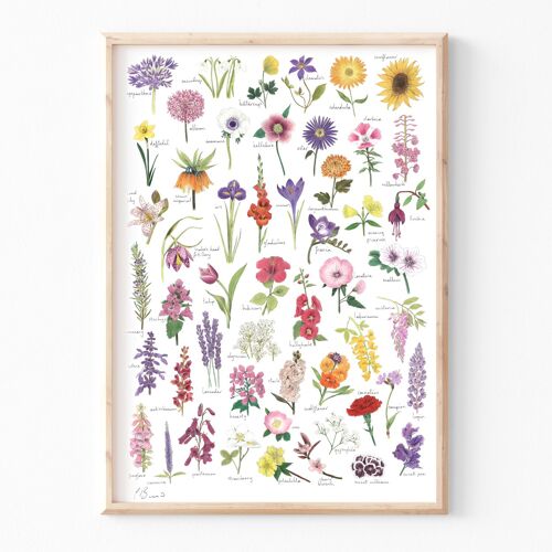 Flowers - A3 illustration print