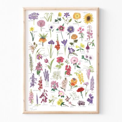 Blumen - A3 Illustrationsdruck