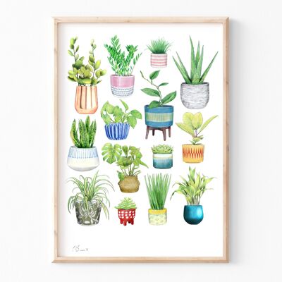 Plantas de interior - Impresión de ilustración A3