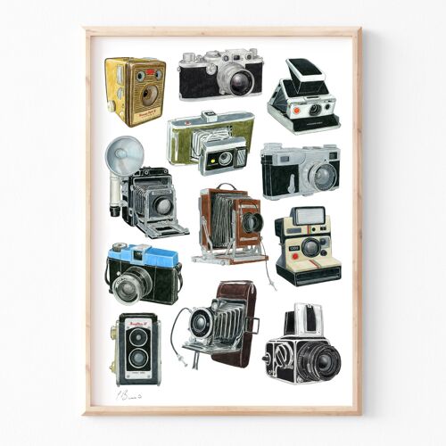 Vintage Cameras - A3 illustration print