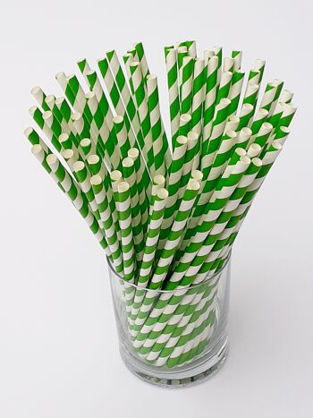 Pailles en papier à rayures vertes - 250 1