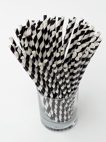 Pailles en papier à rayures noires - 250 1