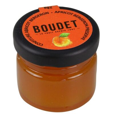 Confiture Extra Abricot Bergeron 28g