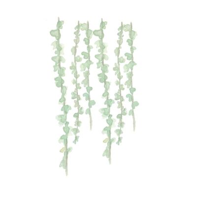 Green leaves garland wall stickers