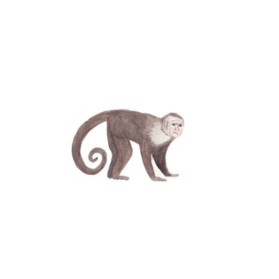 Safari - Monkey wall sticker