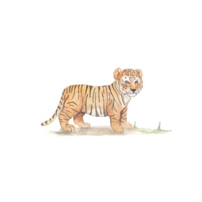 Tigerjunges Wandaufkleber | Niedlicher Wandaufkleber Tigerjunges | 24x43cm