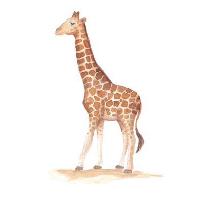 Adesivo murale giraffa per la cameretta del bambino