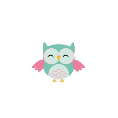 Mint green and pink owl wall sticker - 13x15cm