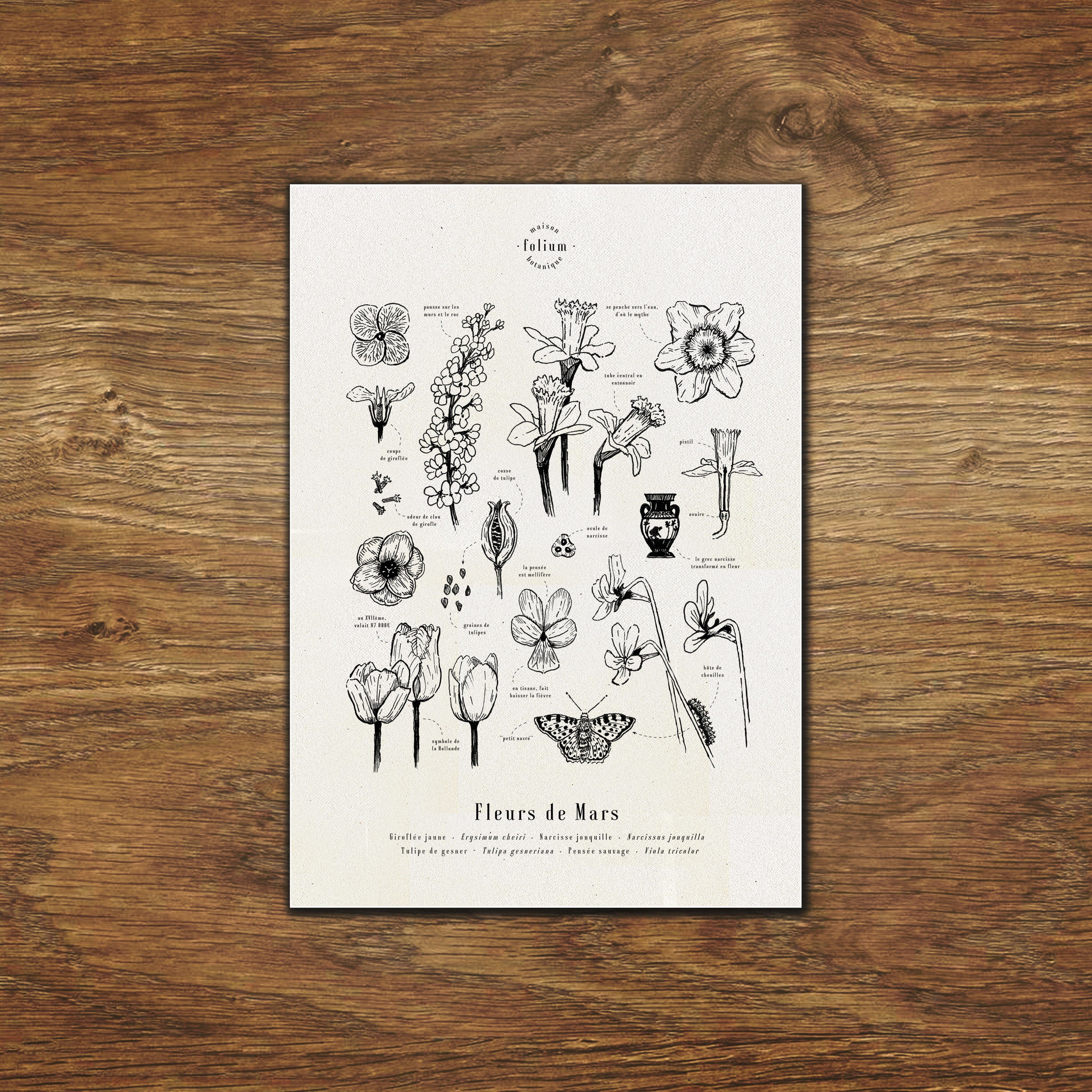 Blumen des März Poster - A3