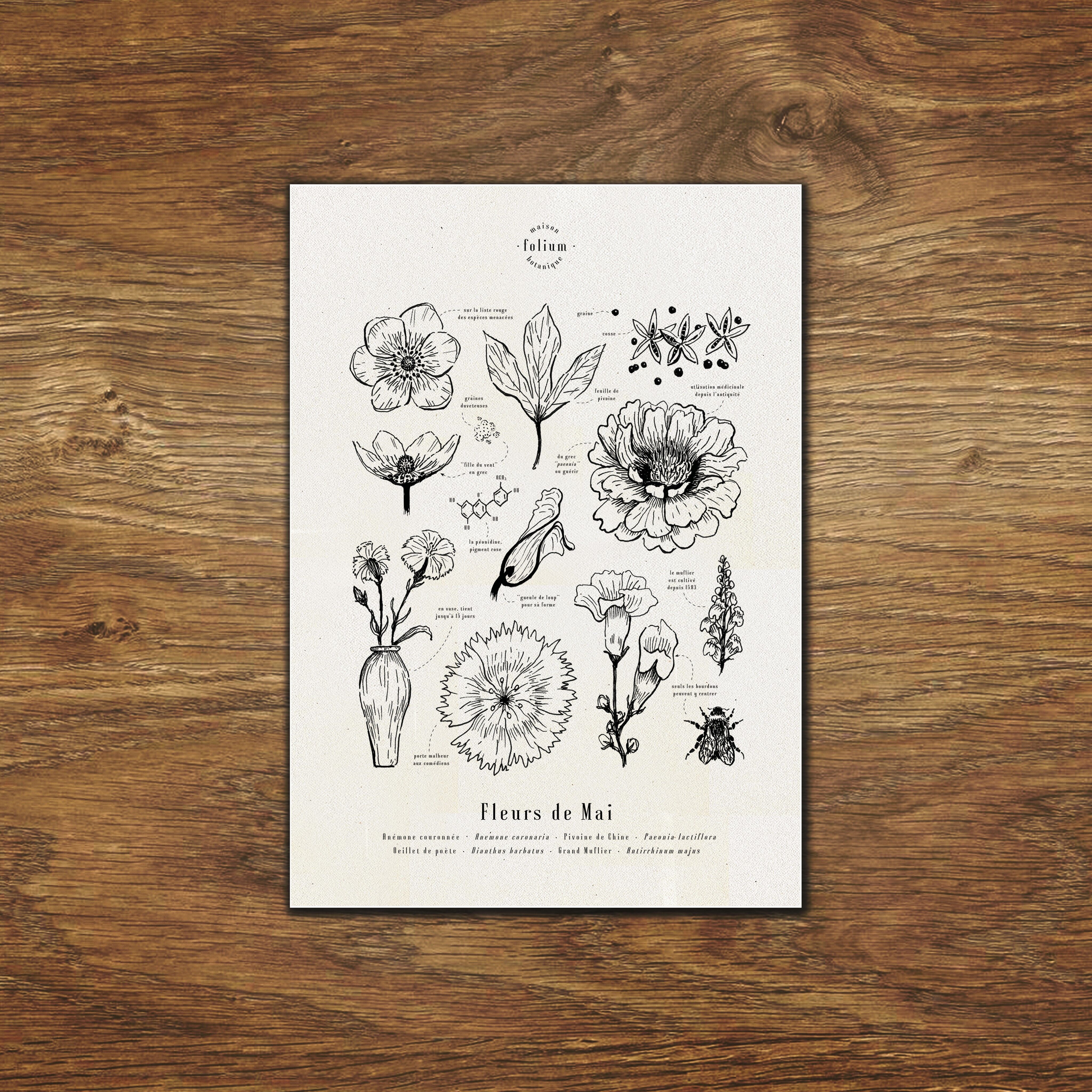 Mai Blumen Poster - A3