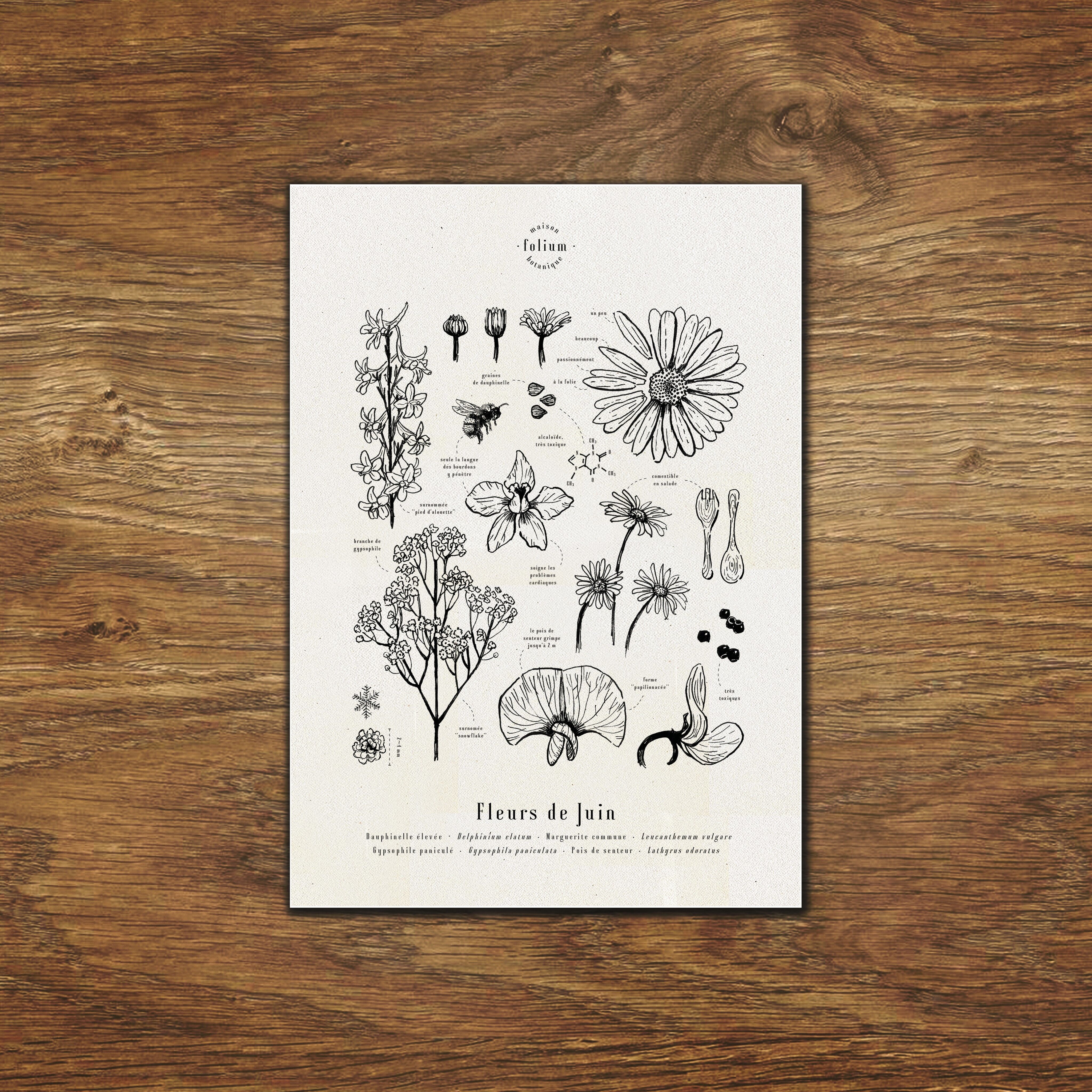 Juni Blumen Poster - A3