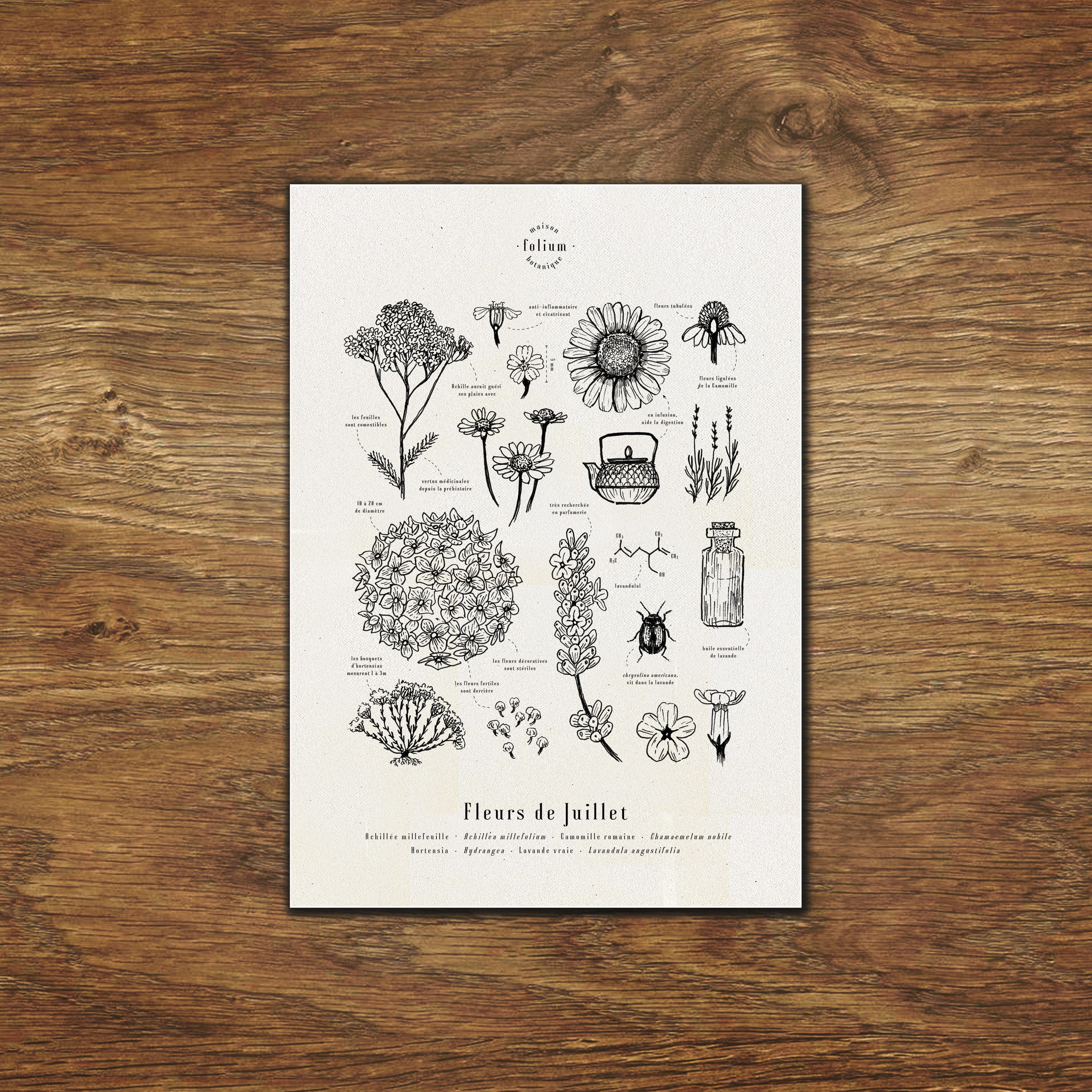 Juli Blumen Poster - A3