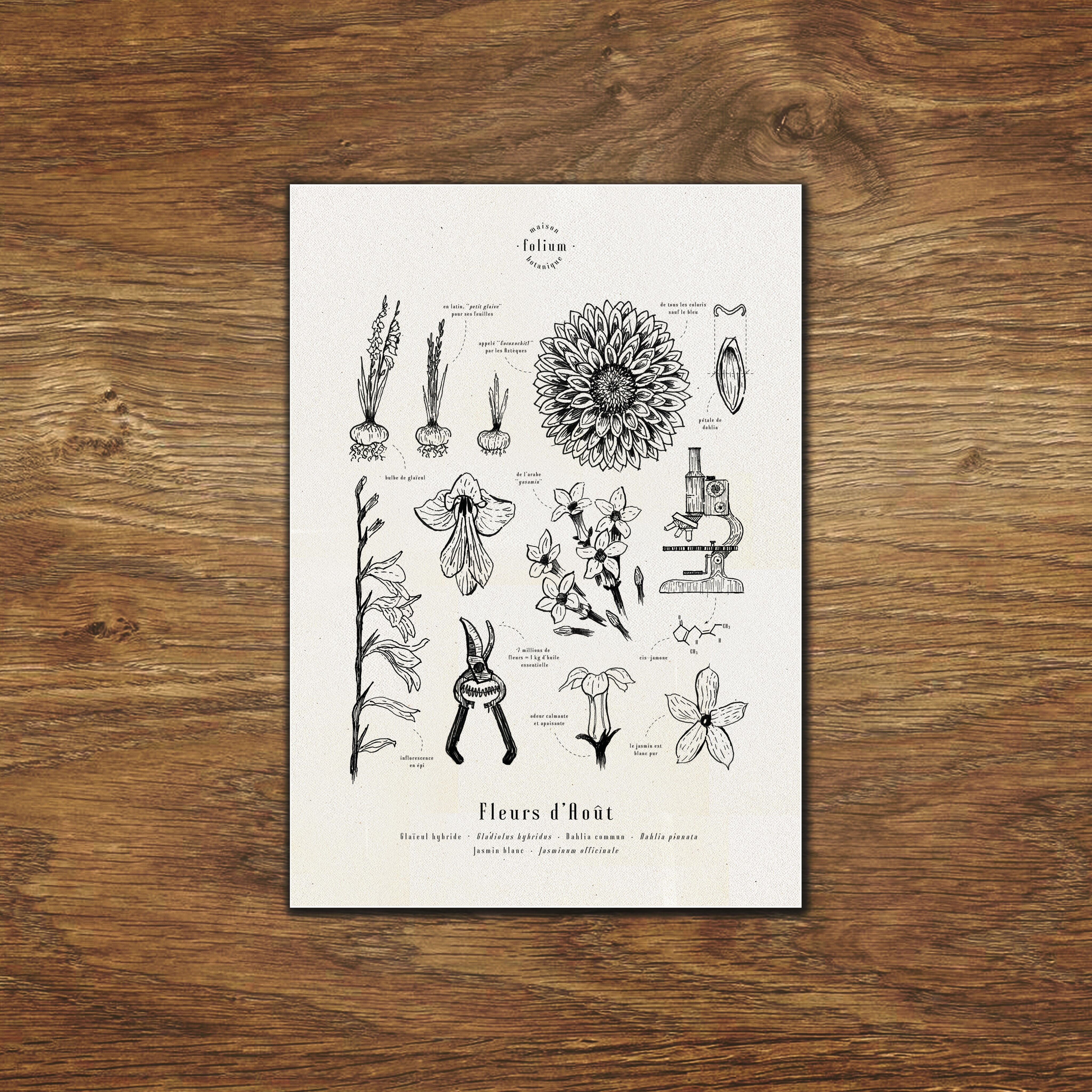 August Blumen Poster - A3