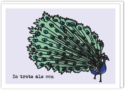 Cartella | Così orgoglioso come