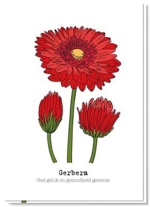 Flower card | Gerbera