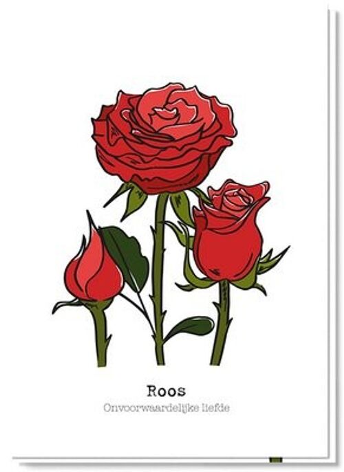 Meaning rose