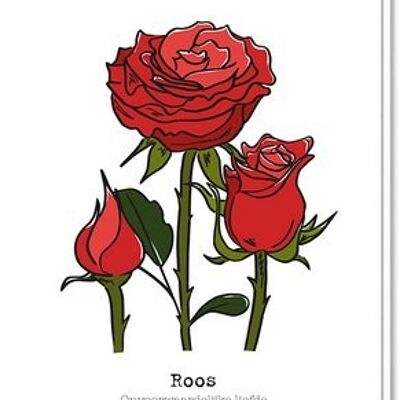 Meaning rose