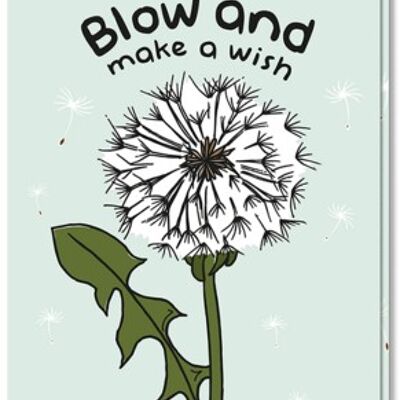 Blow | May All Your Dreams Come True