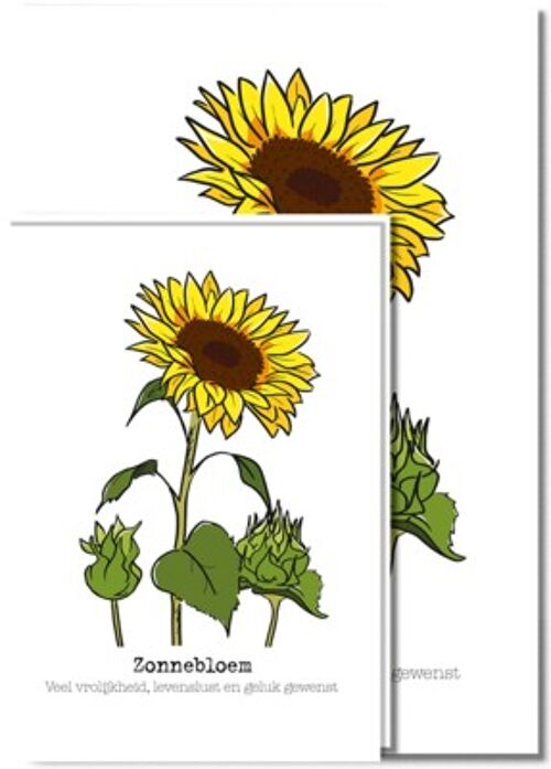 Small | Sunflower