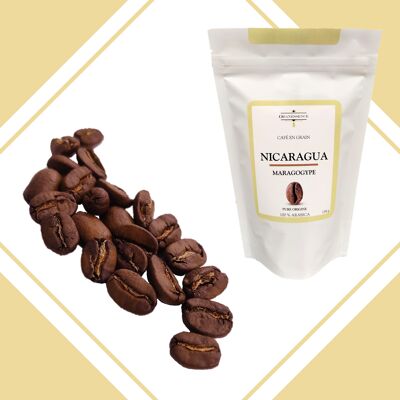 Granos de café -Nicaragua Maragogype
