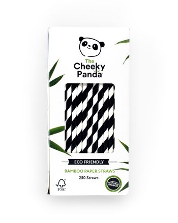 Boîte de pailles en bambou en vrac - Noir et blanc - 250 - 24 1