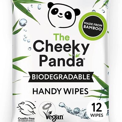 Biodegradable Handy Wipes Display Box | 72 Single Packs