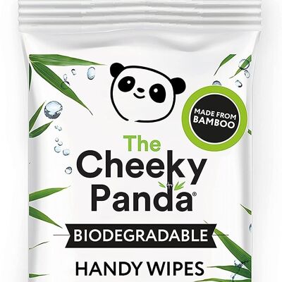Biodegradable Handy Wipes Display Box | 72 Single Packs