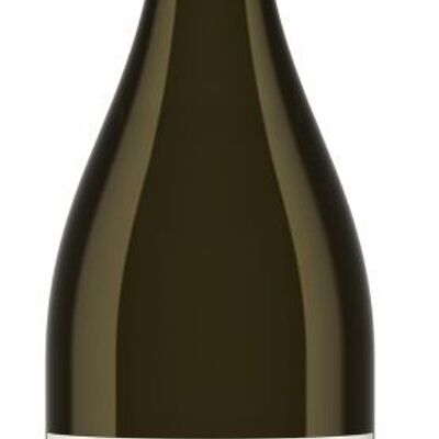 Pinot Blanc Reserva 2018