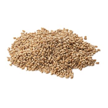 Farine blé T80 bio - 1kg 3