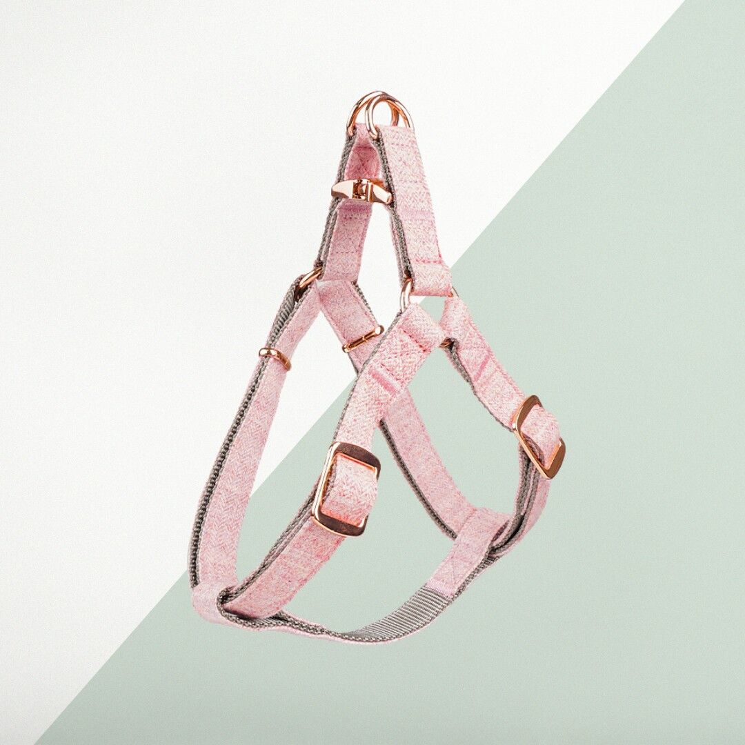 Rose gold hotsell dog harness