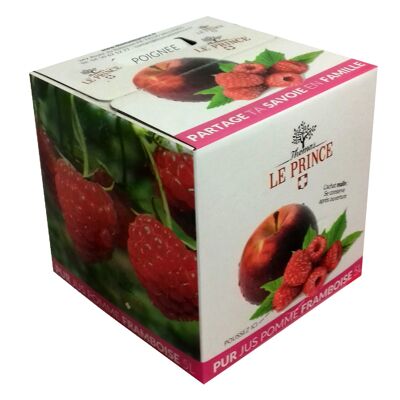 Bag in Box Pomme Framb. Pur Jus 5L