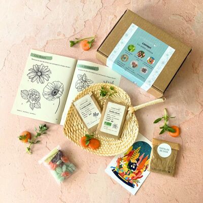 Gift box The little curious ones / children's gardening