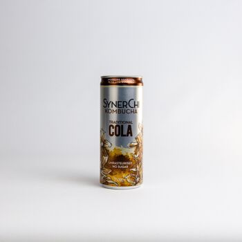 SynerChi Kombucha - Sencha Tea Légèrement Pétillant : Cola - Single (250ml) 1