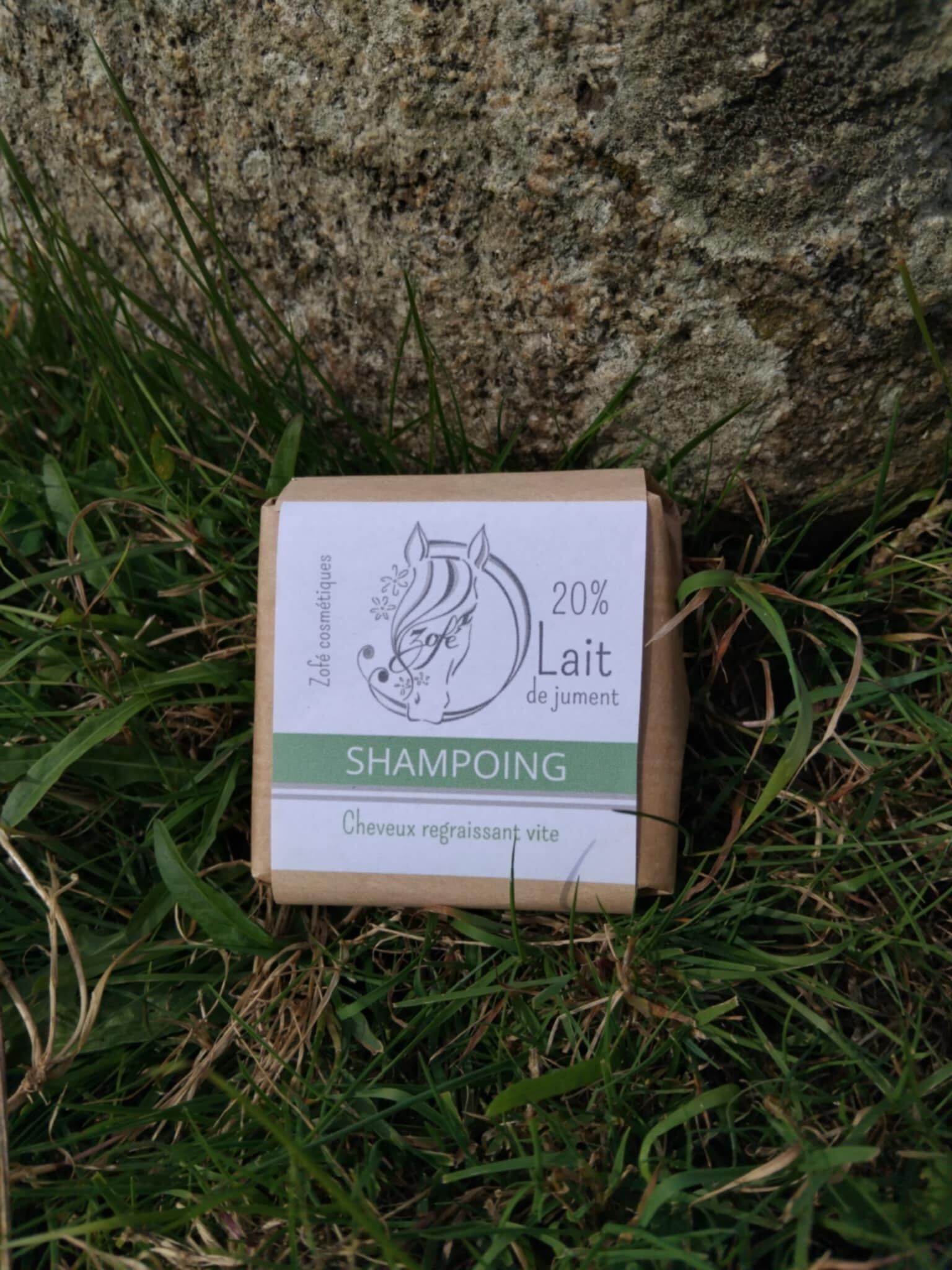 Solid shampoo for oily or quickly regreasing hair