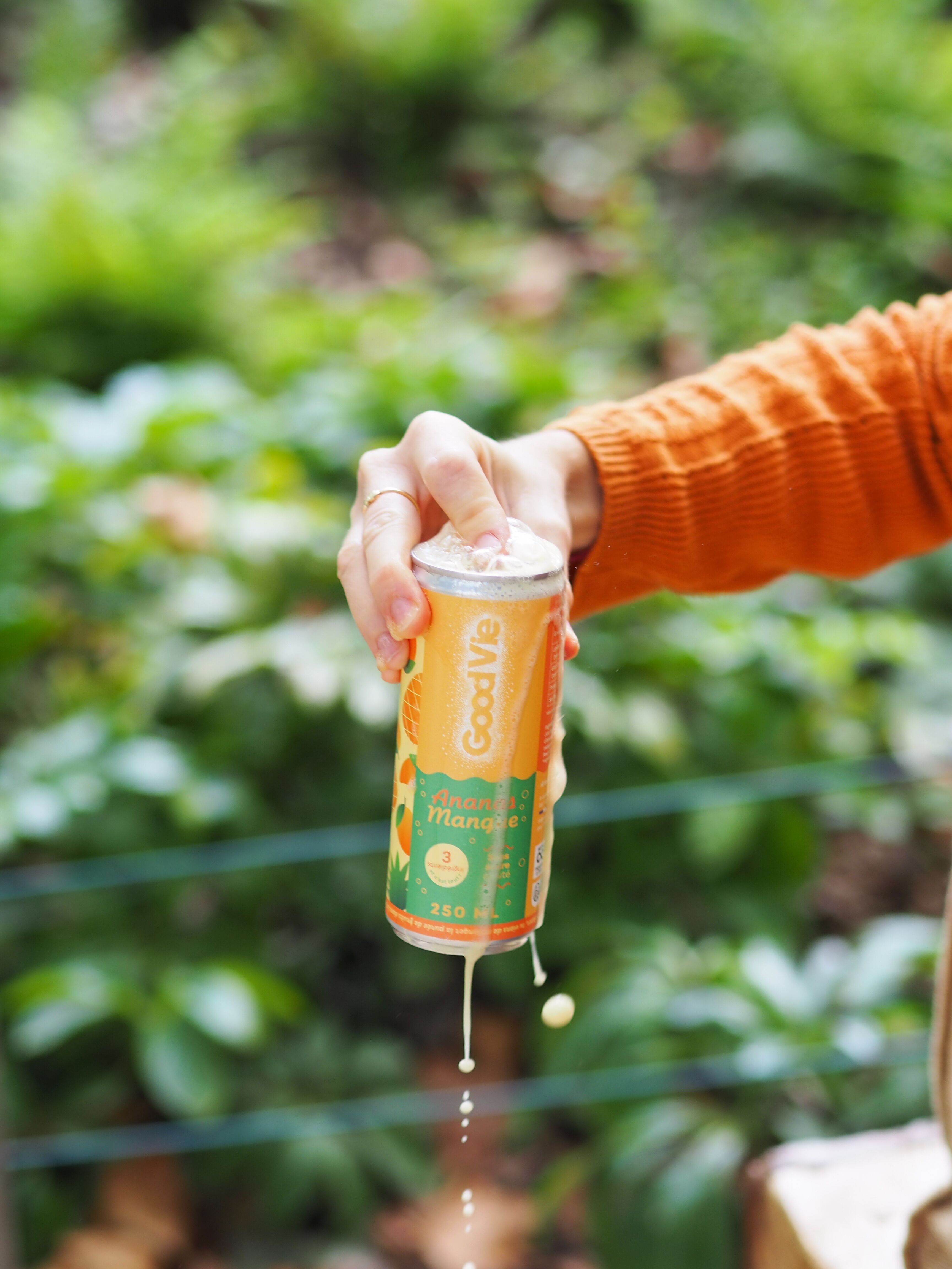 Frucht-Kombucha – Good Vie Mango/Ananas Dose (250 ml)