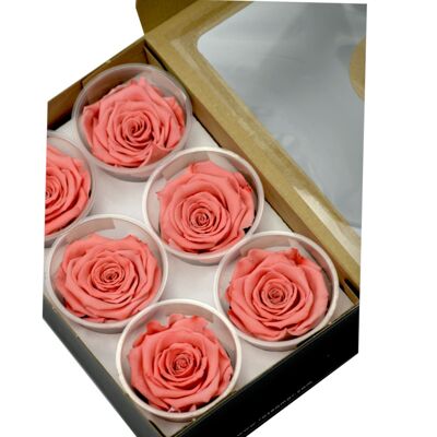 konservierte Rosen Pink | 6er Box (AA Qualität)