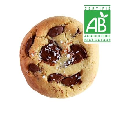 Bio-Fleur de Sel-Keks aus dunkler Schokolade