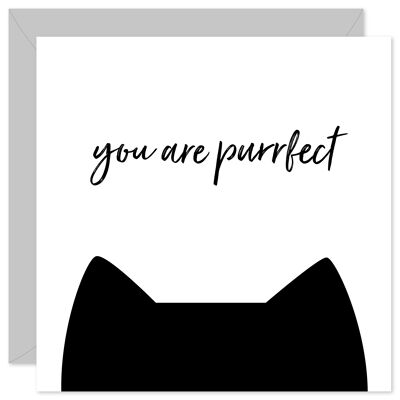 You are purrfect card