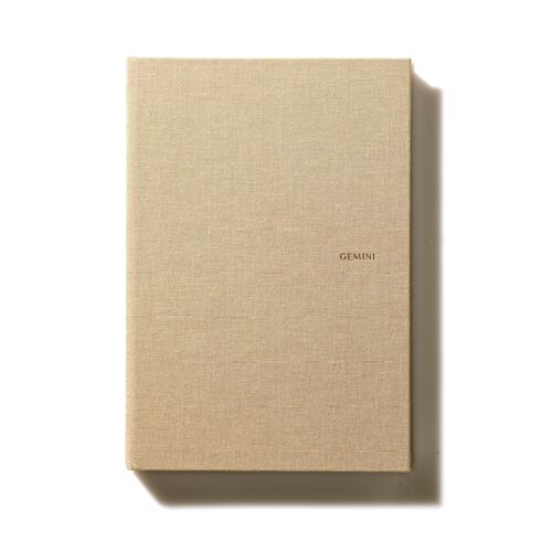 Gemini Notebook