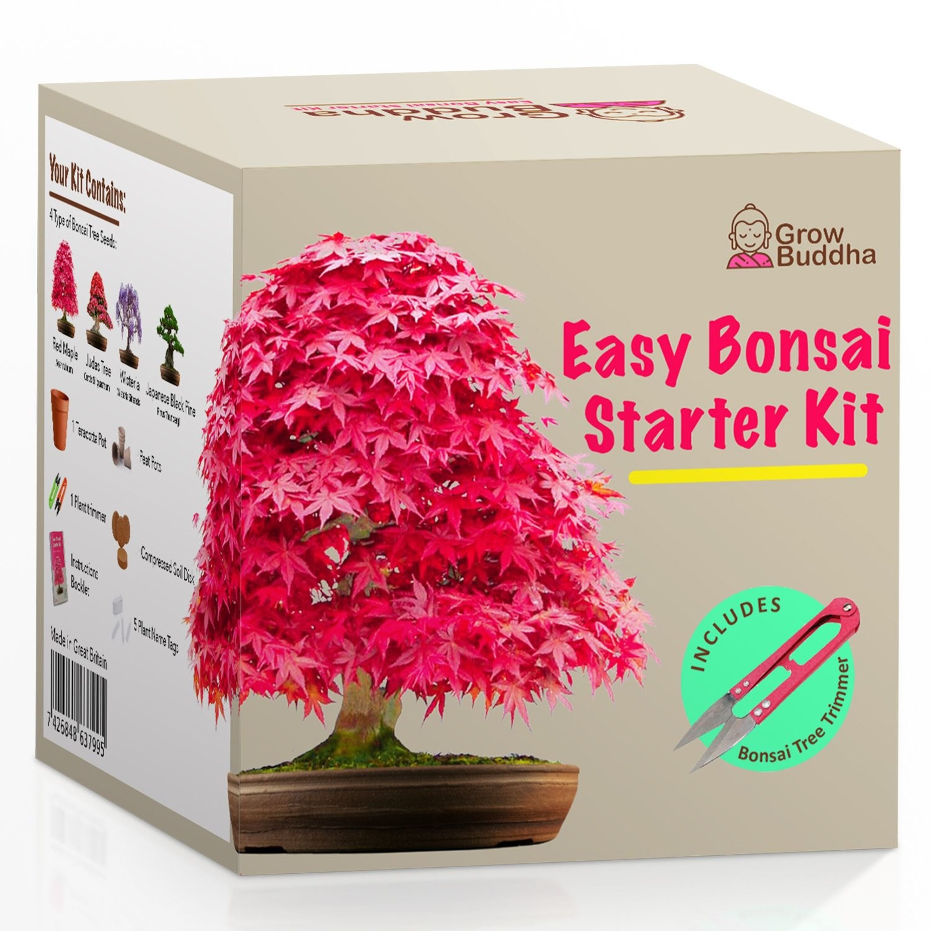 Kit de démarrage de graines de bonsaï – Tout ce dont vous avez