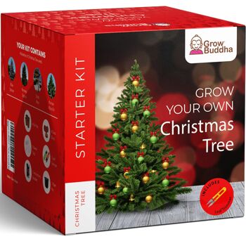 Cultivez votre propre kit de démarrage d'arbre de Noël 1