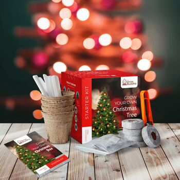 Cultivez votre propre kit de démarrage d'arbre de Noël 2
