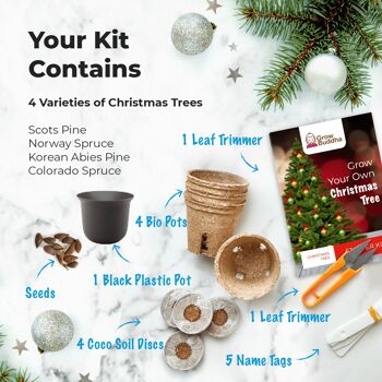 Cultivez votre propre kit de démarrage d'arbre de Noël 3