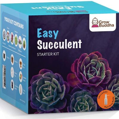 Grow Your Own Succulents Starter Kit