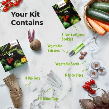 Cultivez votre propre kit de démarrage de 10 légumes 2