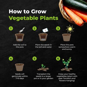 Cultivez votre propre kit de démarrage de 10 légumes 3