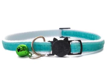 Velours Sarcelle - Collier Chat