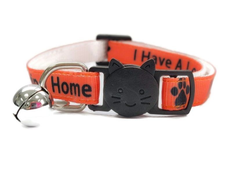 Orange collars clearance for indoor cats