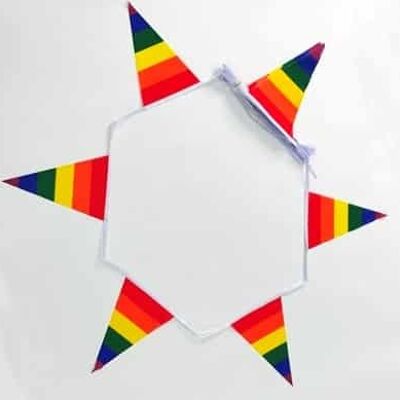 12m 27 flag 8"x12" Gay Pride (Rainbow) triangle shape bunting